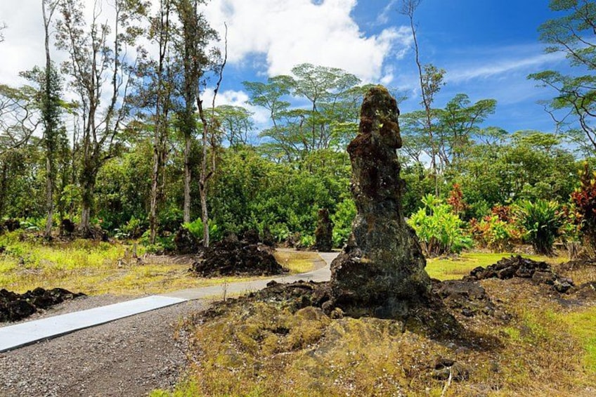 Lava tree 3