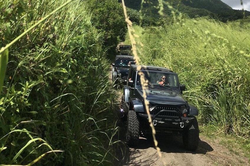 A vehicle navigating a narrow dirt path surrounded by tall grass and vegetation. 1