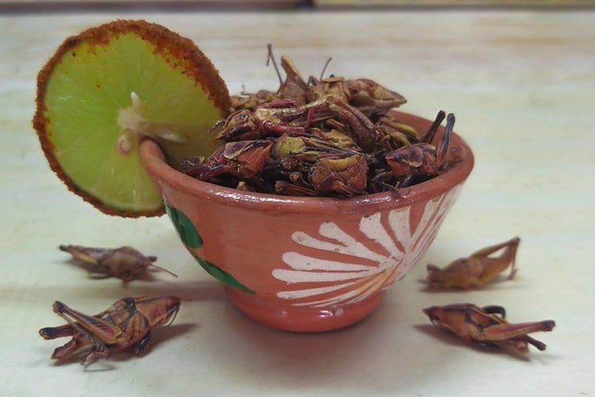 A bowl with dried insects and a lime slice. 3