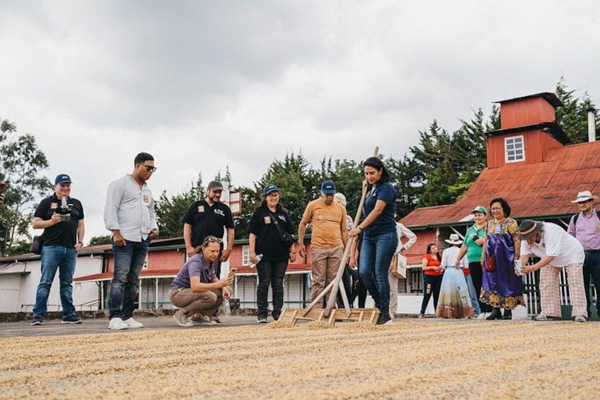 A group of people on a rooftop with a red-roofed building in the background. 4