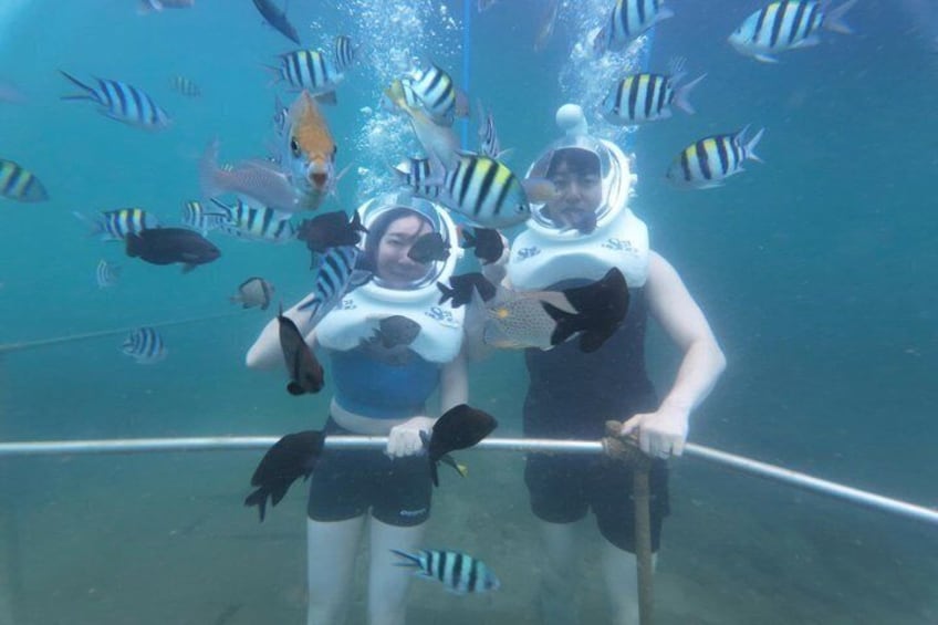 Full-day Cham Islands Cruise from Hoi An with Underwater Walking Excursion 4
