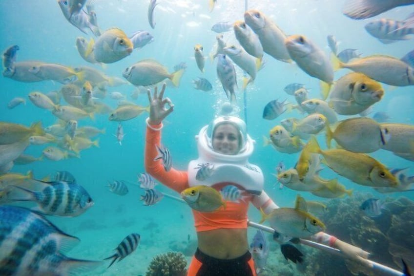 Full-day Cham Islands Cruise from Hoi An with Underwater Walking Excursion 1