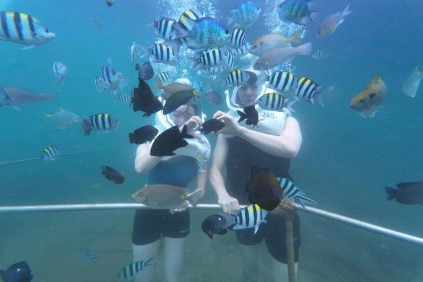 Full-day Cham Islands Cruise from Hoi An with Underwater Walking Excursion 5