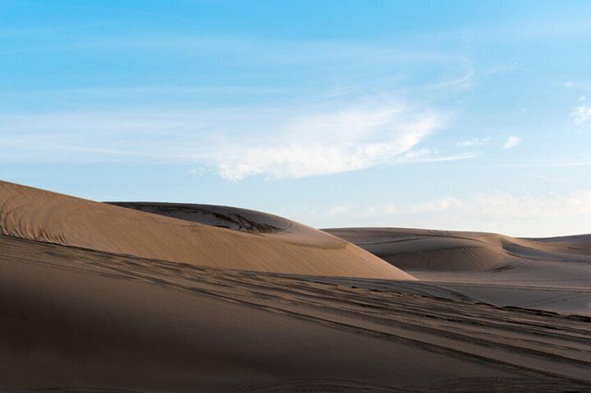 Qatar Dune Bashing Safari, Camel, Surfing , Optional Quad Bike 5
