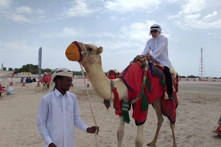 Qatar Dune Bashing Safari, Camel, Surfing , Optional Quad Bike 4