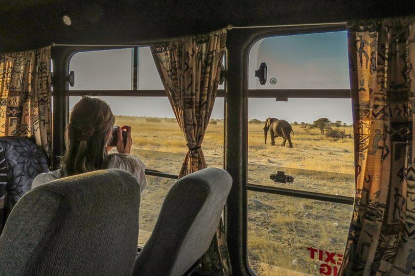 4-Day Etosha And Swakopmund Accommodated Adventure from Windhoek 3