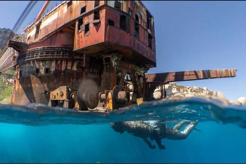 Animal Ocean Safaris 4