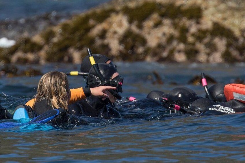 Animal Ocean Safaris 5