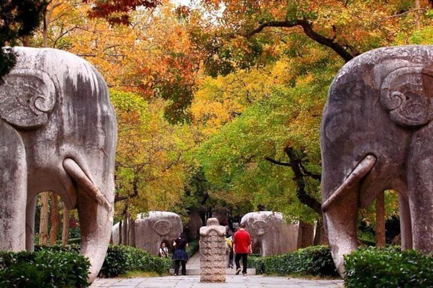 A pathway flanked by large stone elephant sculptures in a park with autumn foliage. 1