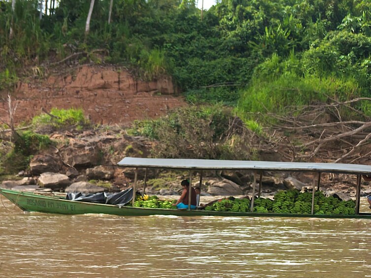 Tambopata and Sandoval Lake 3 days and 2 nights