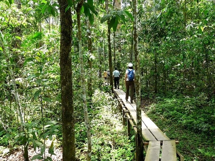 Tambopata and Sandoval Lake 3 days and 2 nights