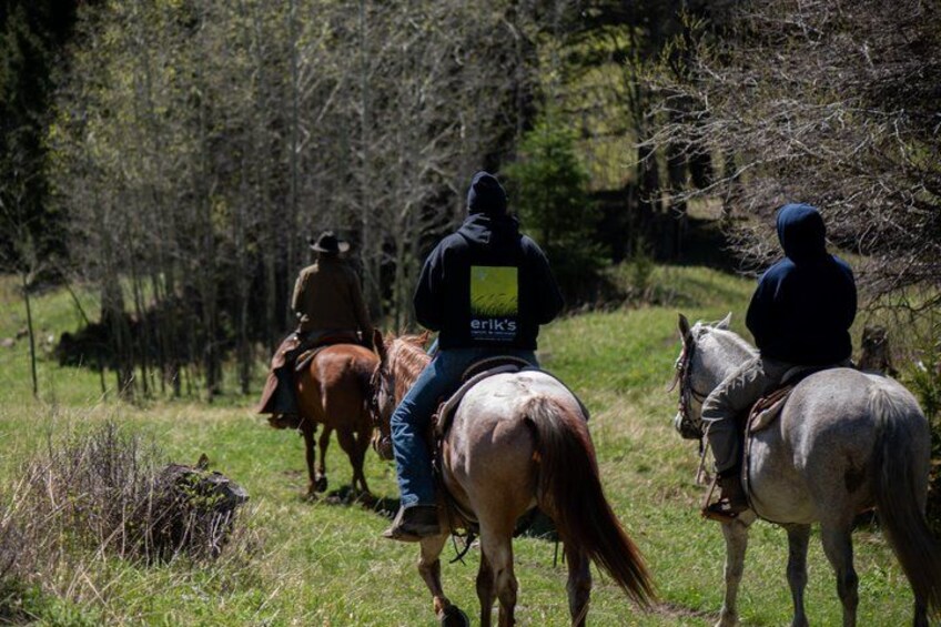 Blue Flower Trail Ride 2