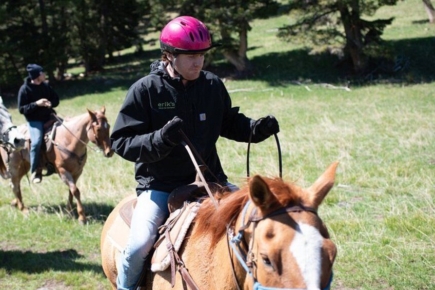 A person riding a horse in a grassy field with trees in the background. 2