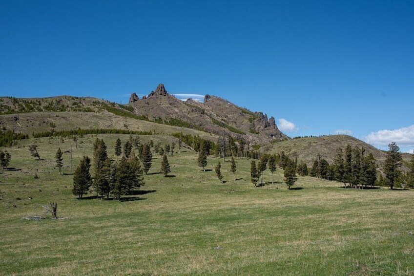 Blue Flower Trail Ride 2