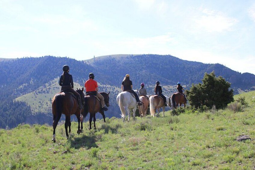 A group of people riding horses on a grassy hillside with a mountain in the background. 3