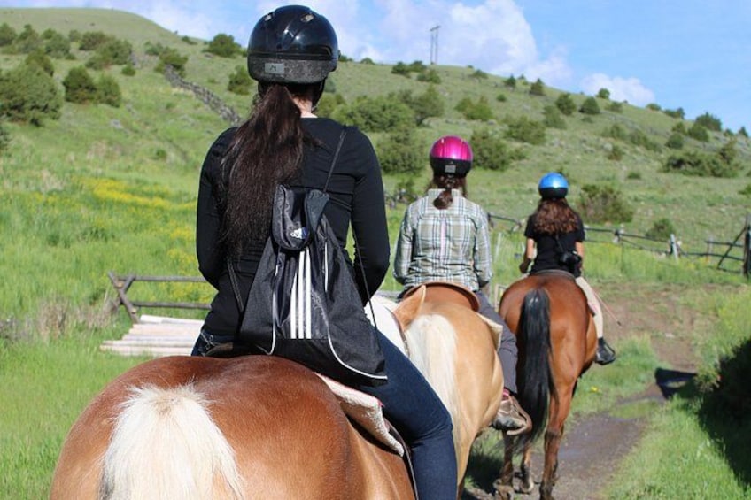 Three people riding horses on a grassy path with a hilly landscape in the background. 3