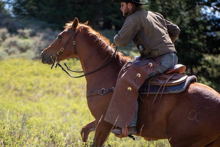 Blue Flower Trail Ride 2