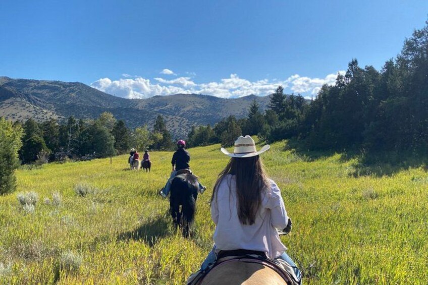 Blue Flower Trail Ride 2