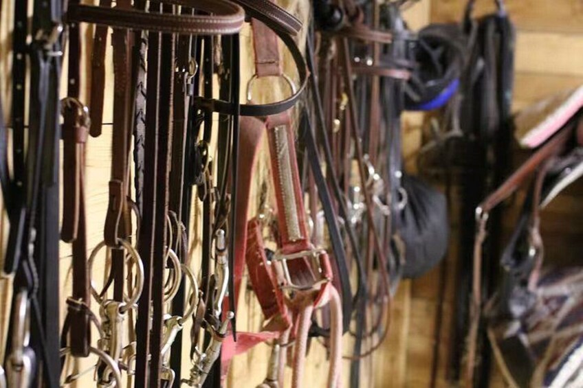 A collection of saddles and bridles hanging on a wall. 2