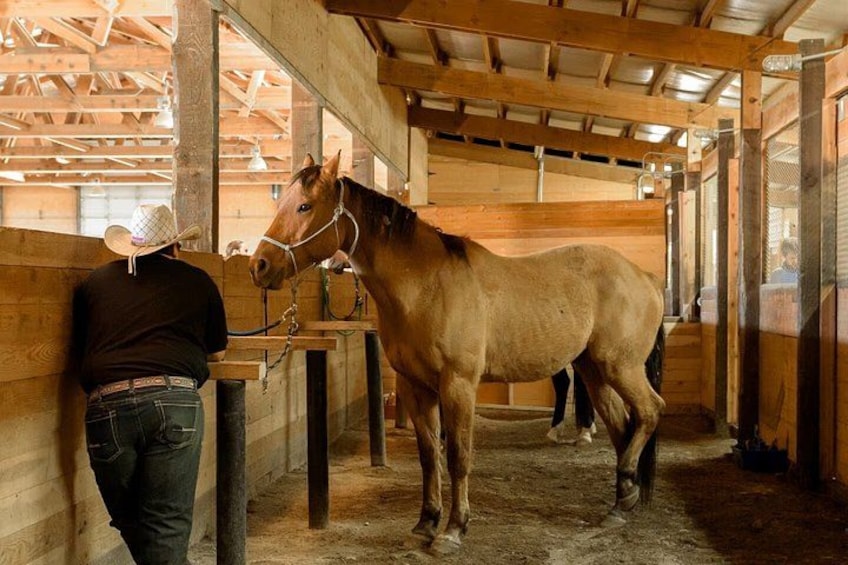 A stable with wooden walls and a horse standing in the center. 3