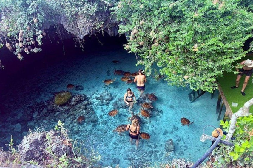 A natural pool with clear water, surrounded by greenery and rocks. 4