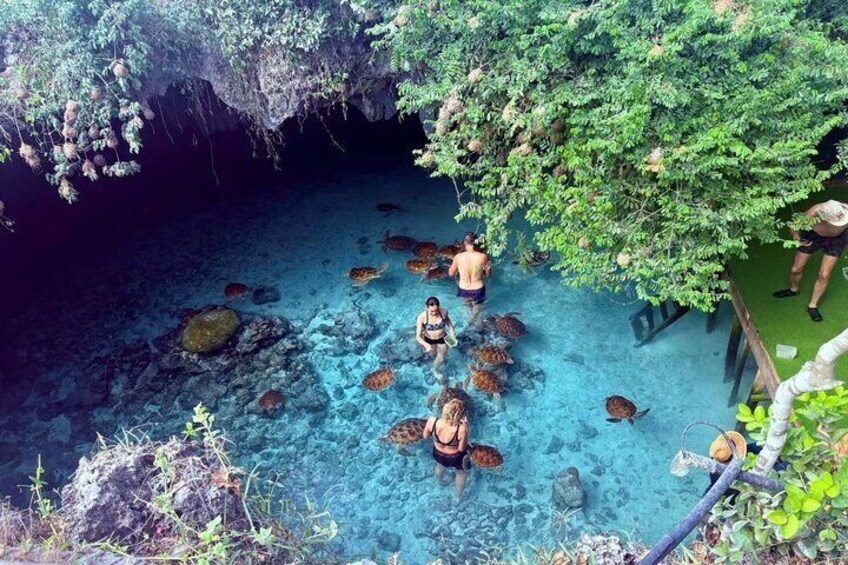 A clear blue pool with people swimming and snorkeling, surrounded by lush greenery and rocky formations. 3