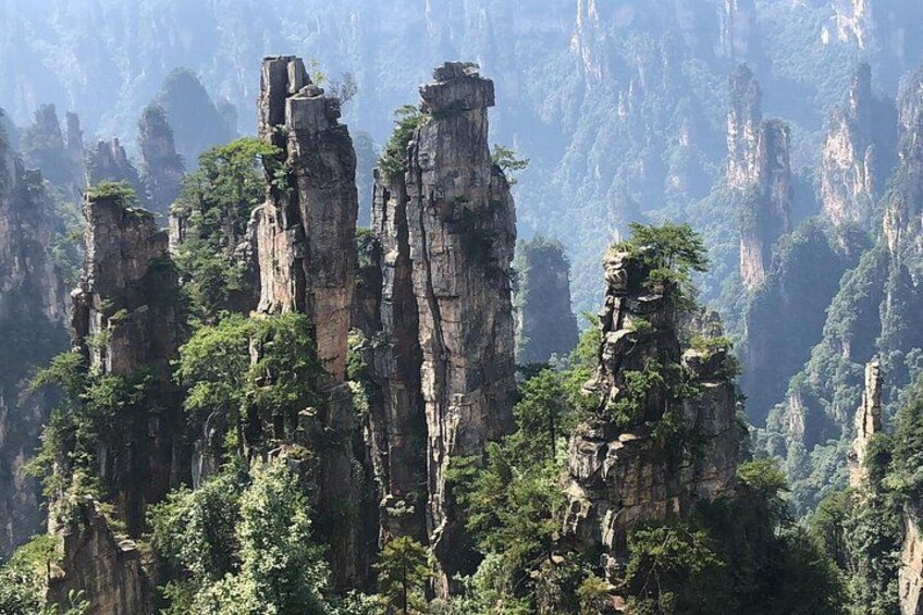 2-Day Private Tour to Mt.AVATAR & Glass Bridge & Mt.Tianmen 4