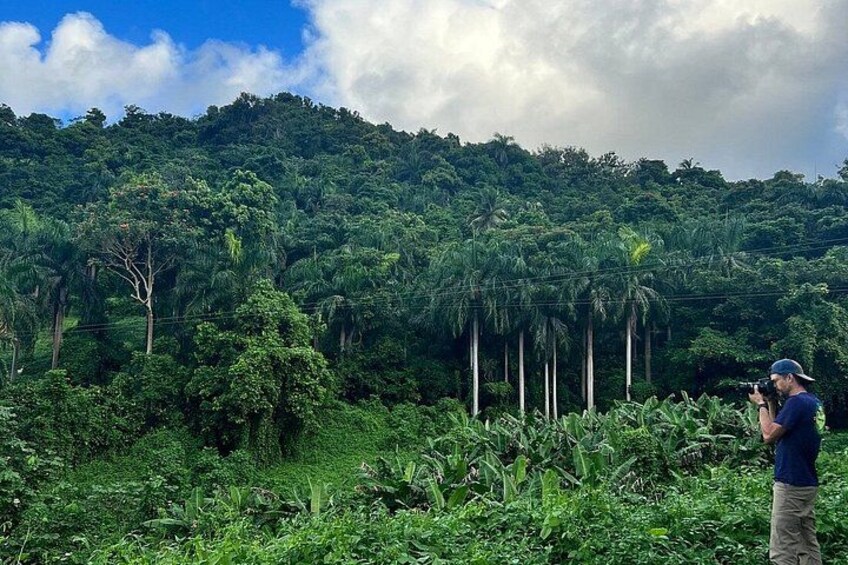 El Yunque Ziplining in Puerto Rico 2