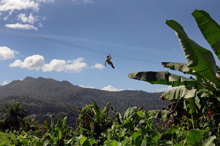 Yunque Ziplining at the Rainforest in Puerto Rico 1