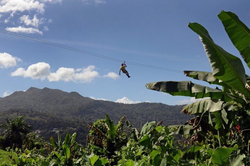 Yunque Ziplining at the Rainforest in Puerto Rico 1