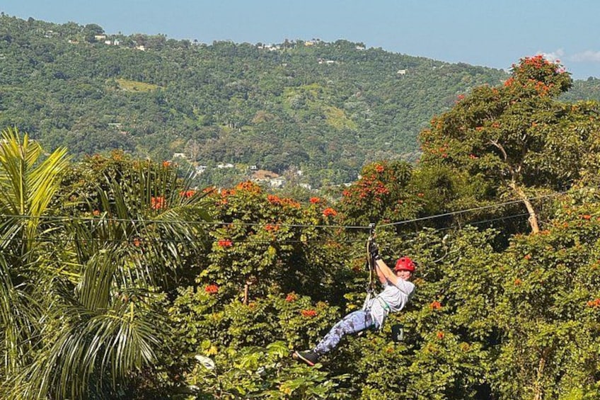 Yunque Ziplining at the Rainforest in Puerto Rico 4