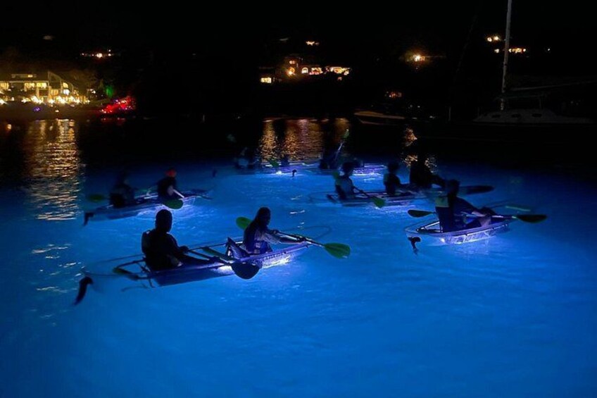Night Kayak Tour St. John - Westin Resort 1