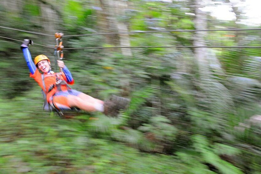 A person zip-lining through a forest. 3