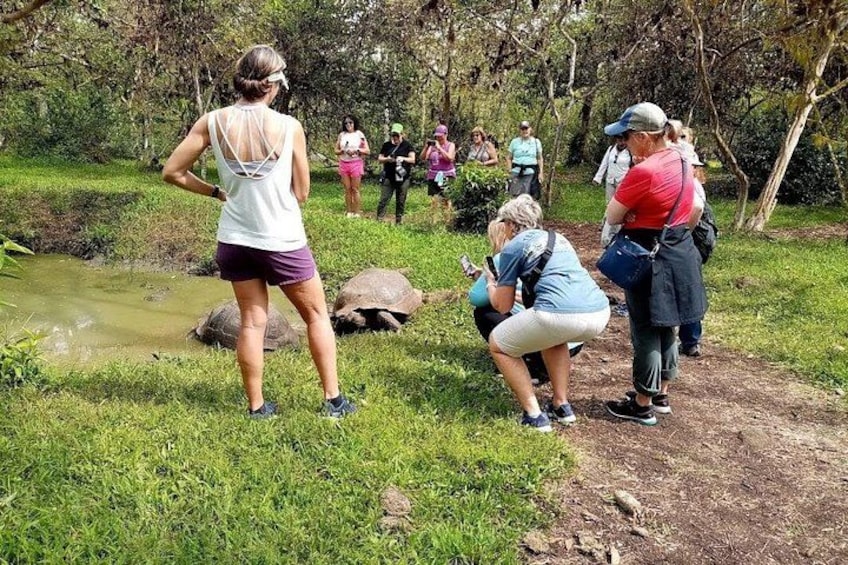 Galapagos Enchanting 3 Islands (5 Days) 5