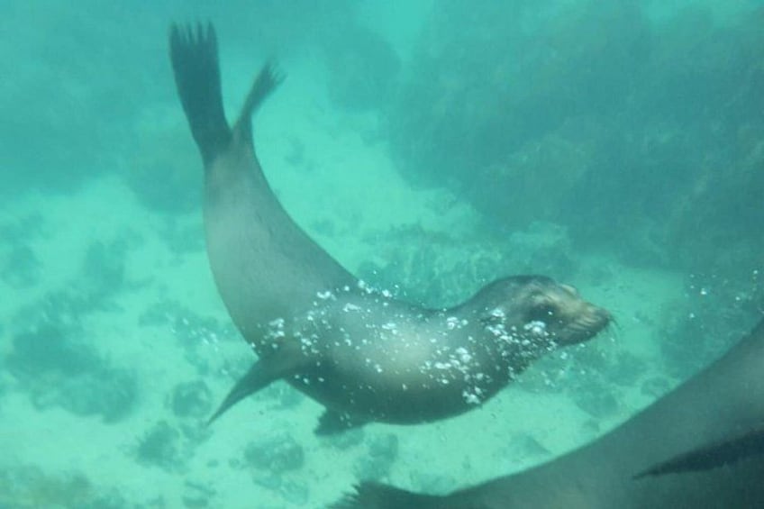 Galapagos Enchanting 3 Islands (5 Days) 4