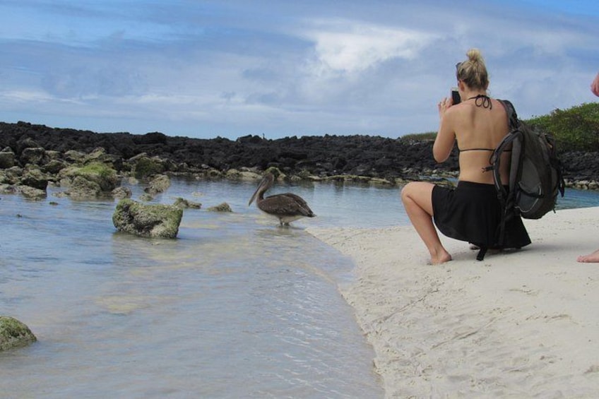 Galapagos Enchanting 3 Islands (5 Days) 2