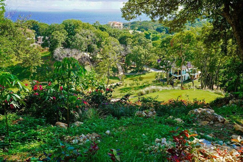 Roatan Golf at The Black Iguana Course 2