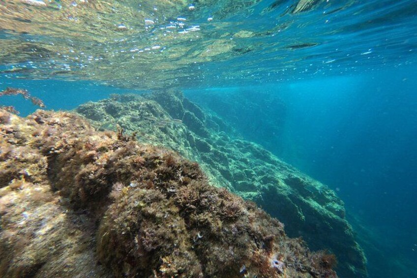 SEA LIVE COSTA BRAVA 5