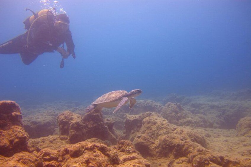 scuba diving alanya 1