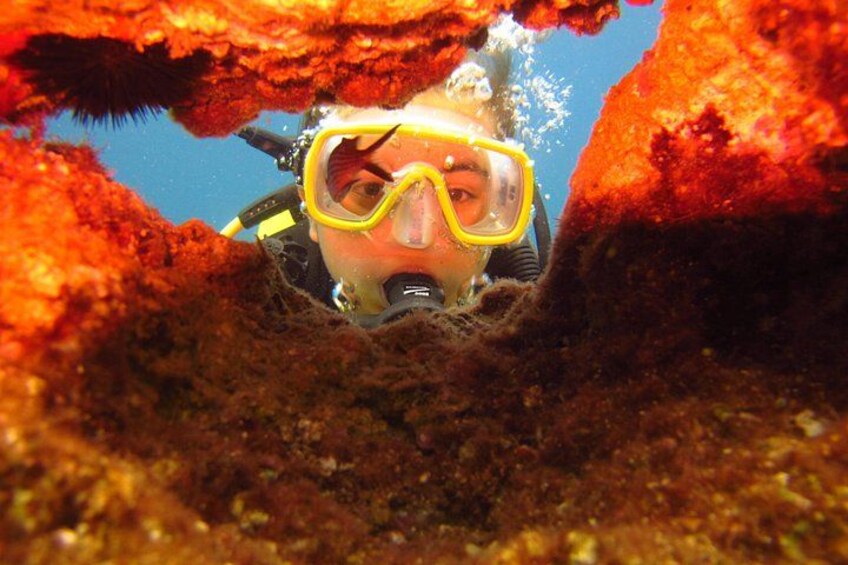scuba diving alanya 5