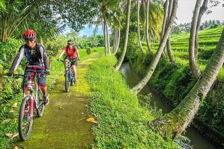 Bali Cycling Tour