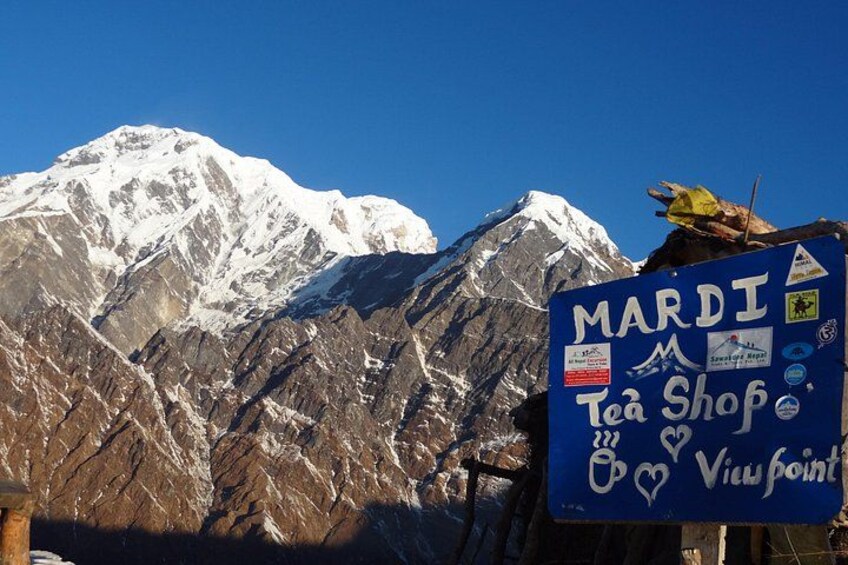 A mountain with a sign for a tea shop. 5