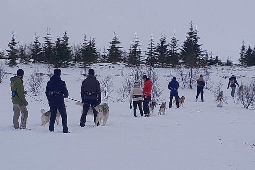 Mennesker i vintertøj med slædehunde i et sneklædt landskab. 3