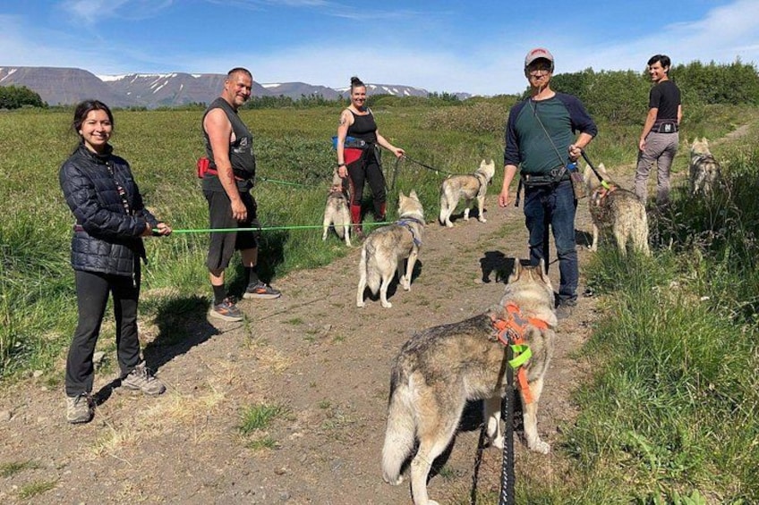 En gruppe mennesker går tur med hunde på en grussti med bjerge i baggrunden. 5