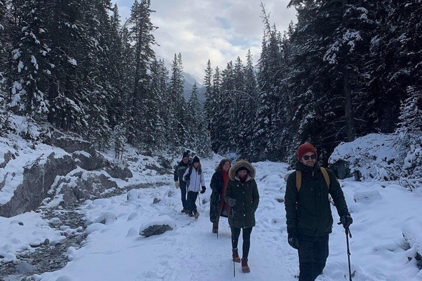 Un groupe de personnes faisant une randonnée dans une forêt enneigée. 2