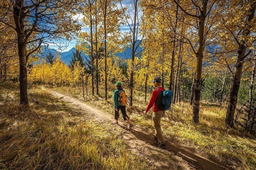 Deux randonneurs sur un sentier de forêt, avec le feuillage automnal et des montagnes en arrière-plan. 5