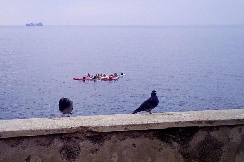 A body of water with a boat carrying people, two birds on a concrete ledge, and a distant ship. 5