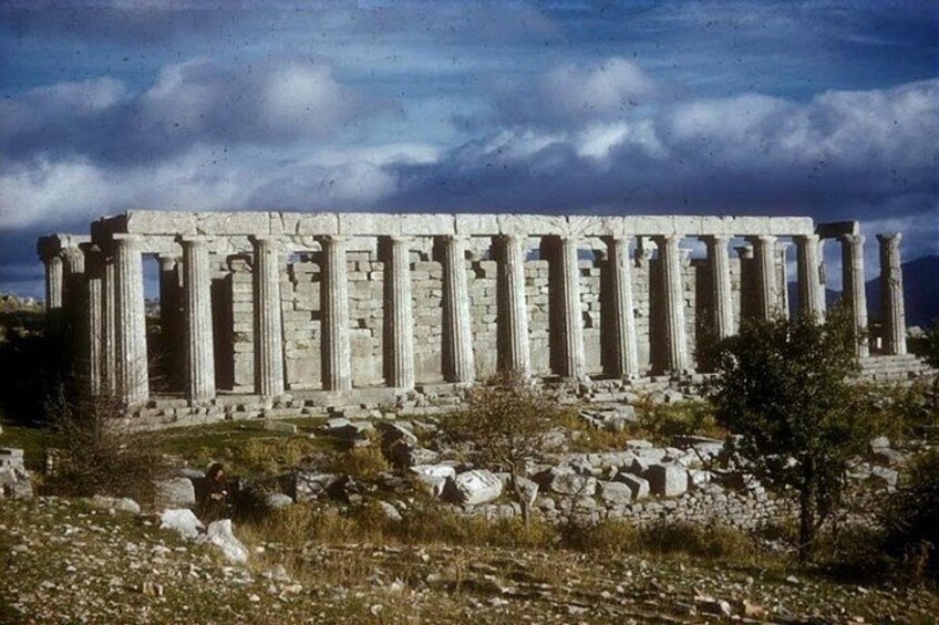 Day tour to Ancient Olympia,Ancient Sparta Mycenae Including Meal 1