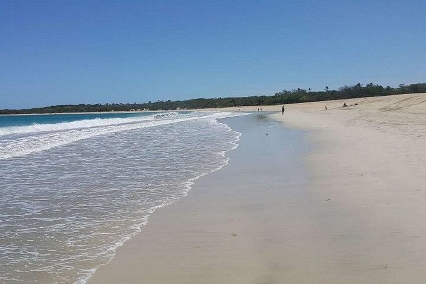 A beach with gentle waves, a clear sky, and sparse vegetation in the background. 3