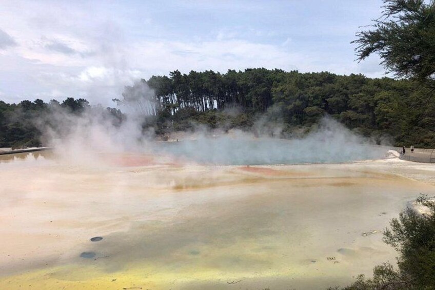 A geothermal area with steam rising from the ground, surrounded by trees. 5